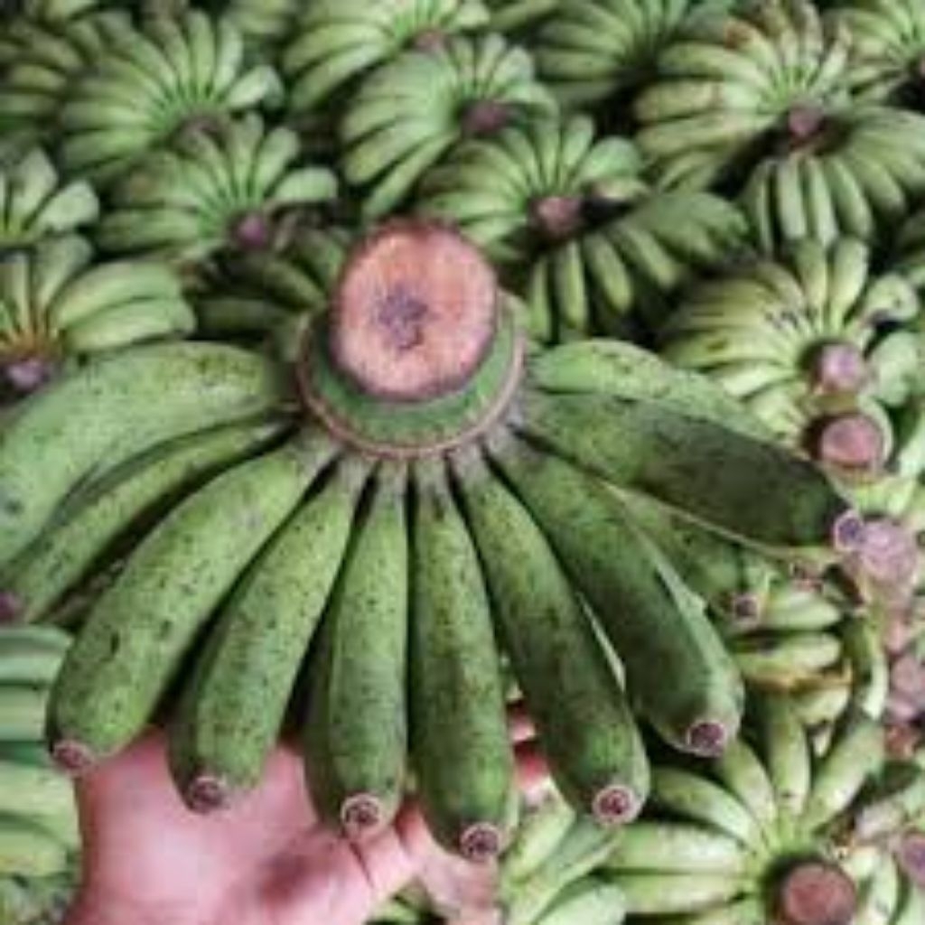 

Pisang barangan merah Simangumban Taput tembus pasar Jakarta