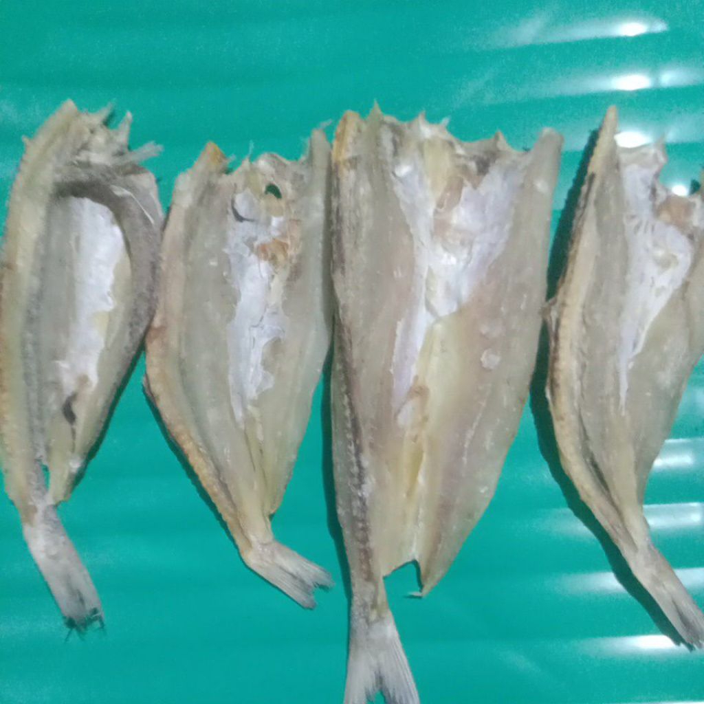 

Ikan asin kacangan besar premium