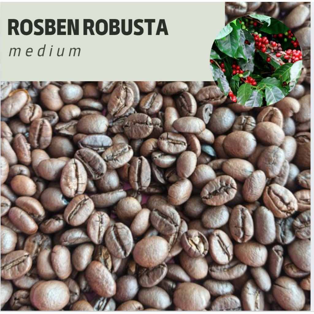 

Biji kopi robusta | rosben robusta kerinci kemasan 500Gram