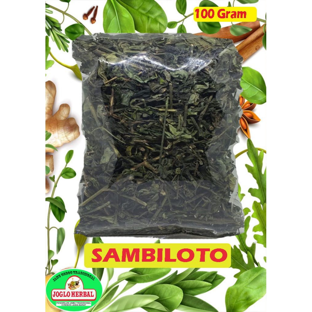 

Daun Sambiloto
