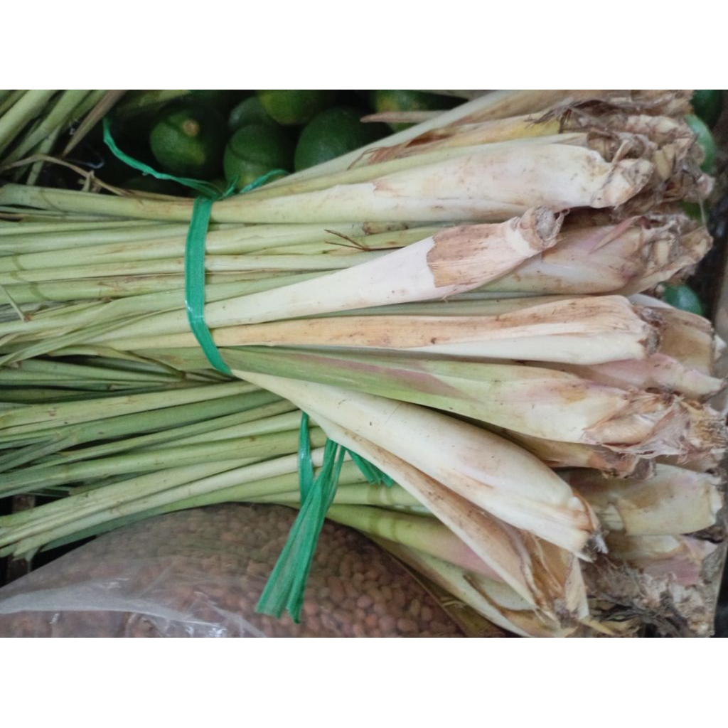 

SERAI SERE SEREH Segar per ikat