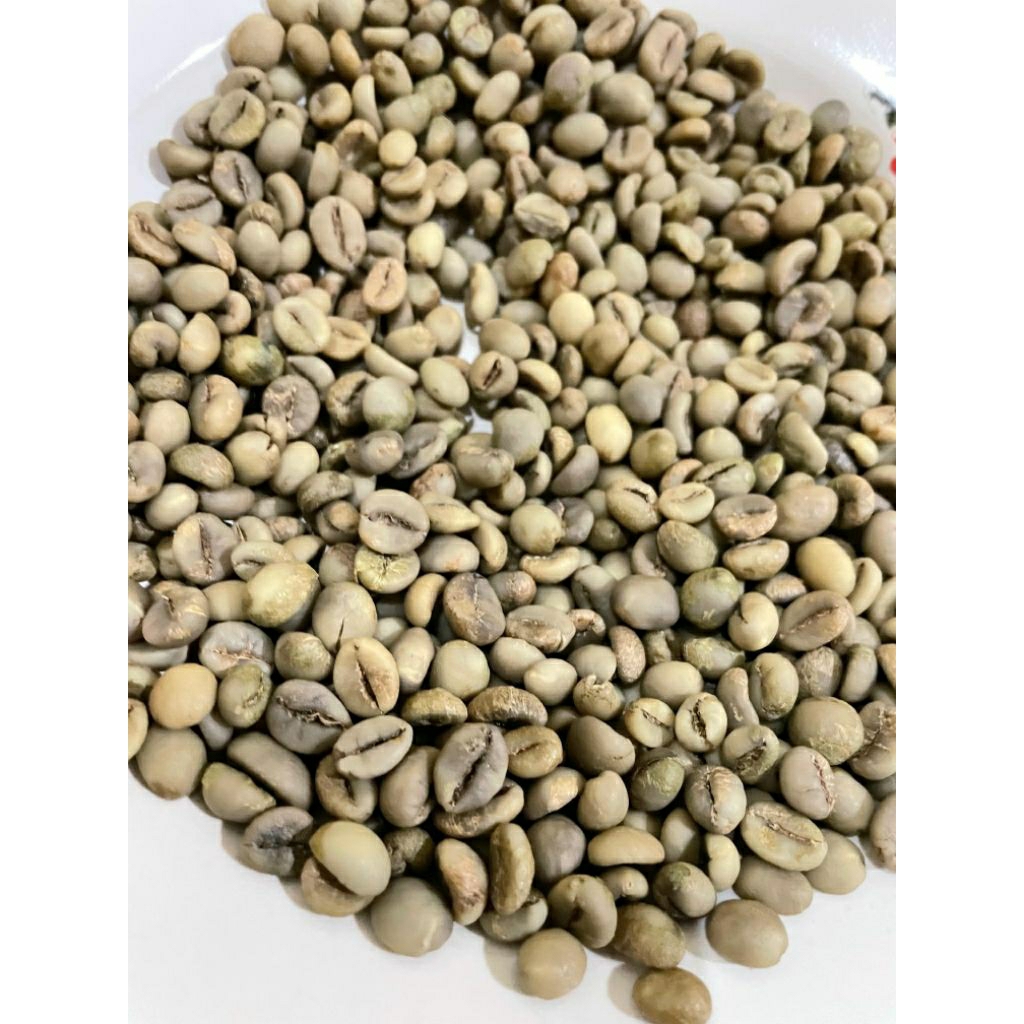 

GREENBEAN biji kopi mentah robusta 1kg langsung dari petani