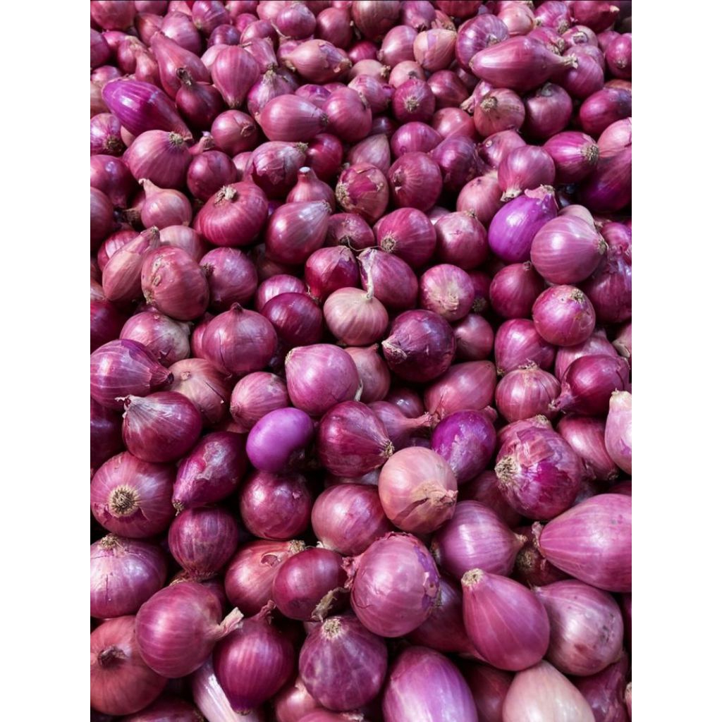 

bawang merah Bantaeng (besar)1/kg