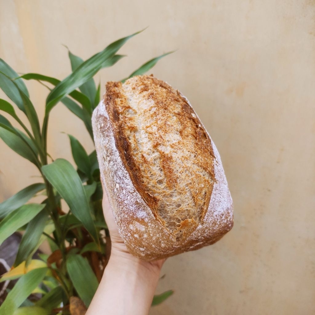 

Rye Sourdough Country Bread