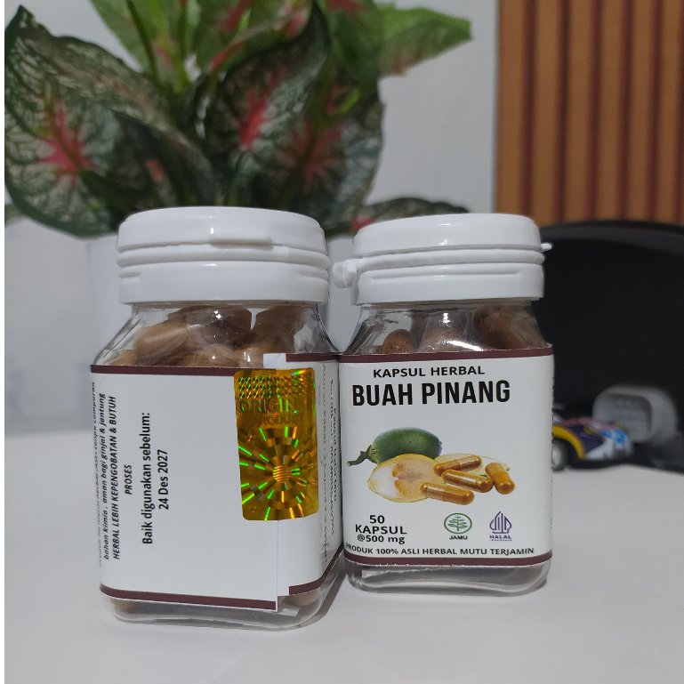 

Kapsul Pinang Muda Berkualitas tinggi