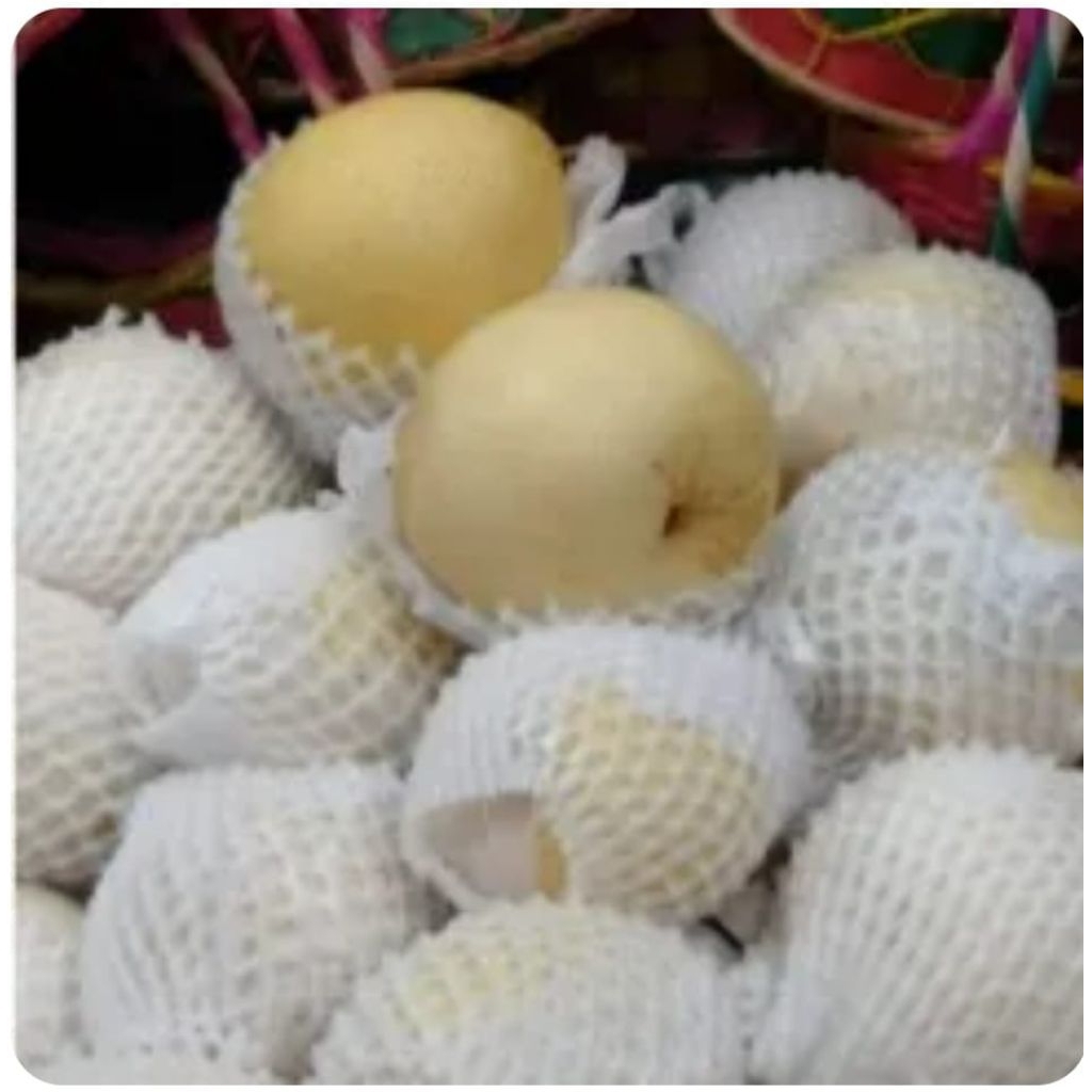 

Pear Century Madu Manis