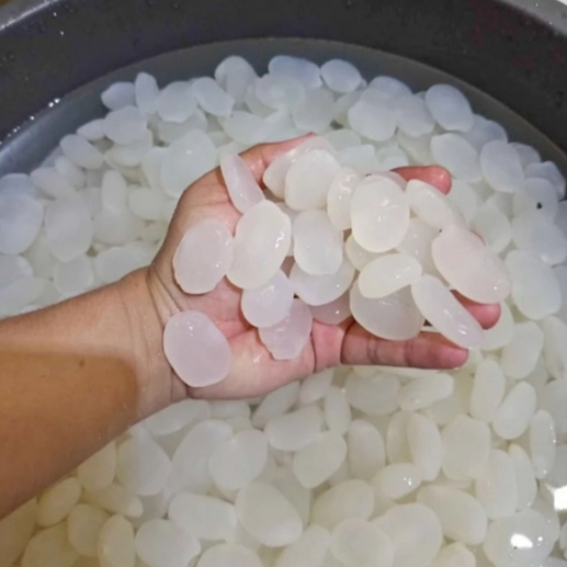 

Kolang Kaling Jumbo Fresh 1kg - Kolang Kaling Bersih Putih Cocok buat Manisan