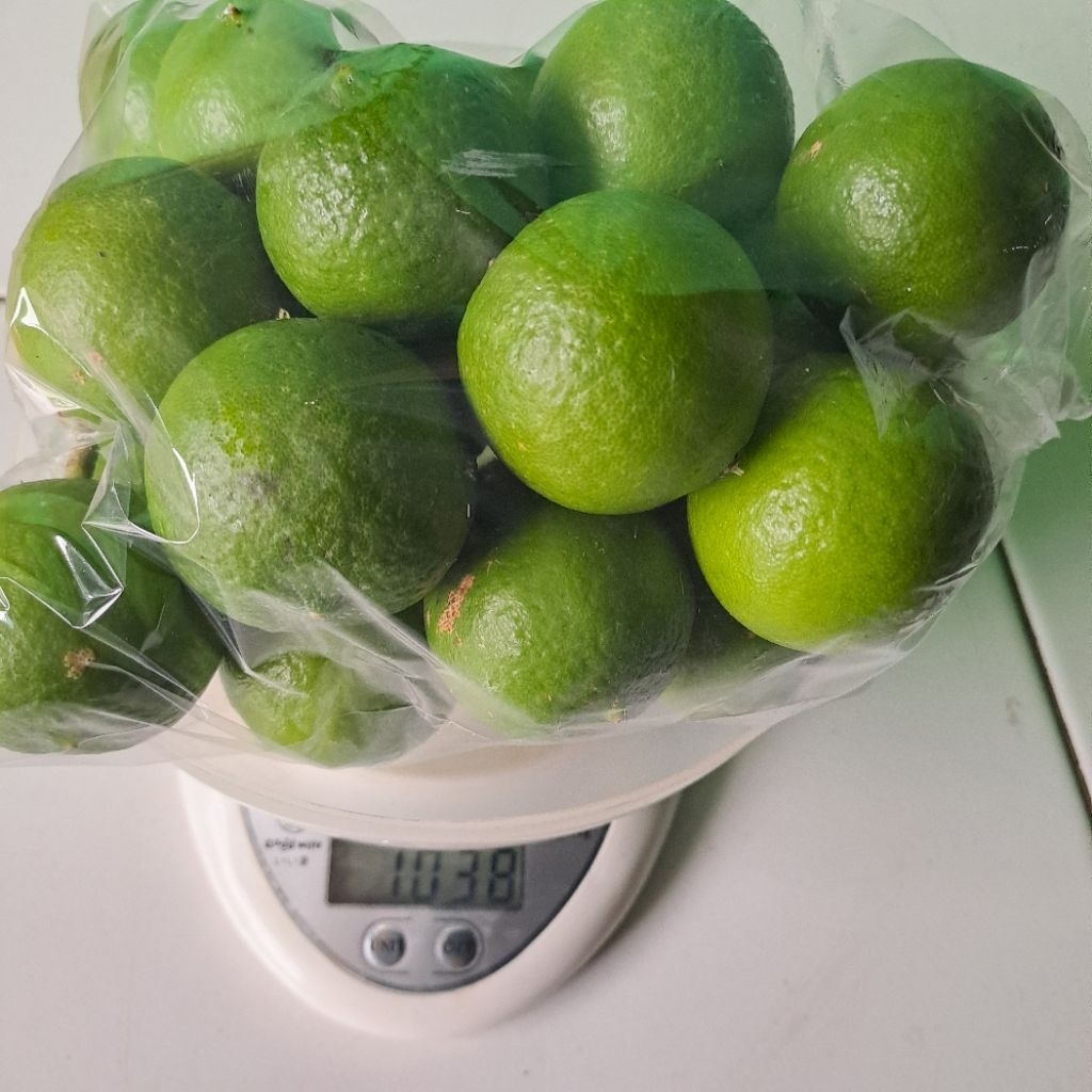 

Jeruk Nipis Jeruk Pecel Fresh baru Petik Air Kemucur 1 Kg