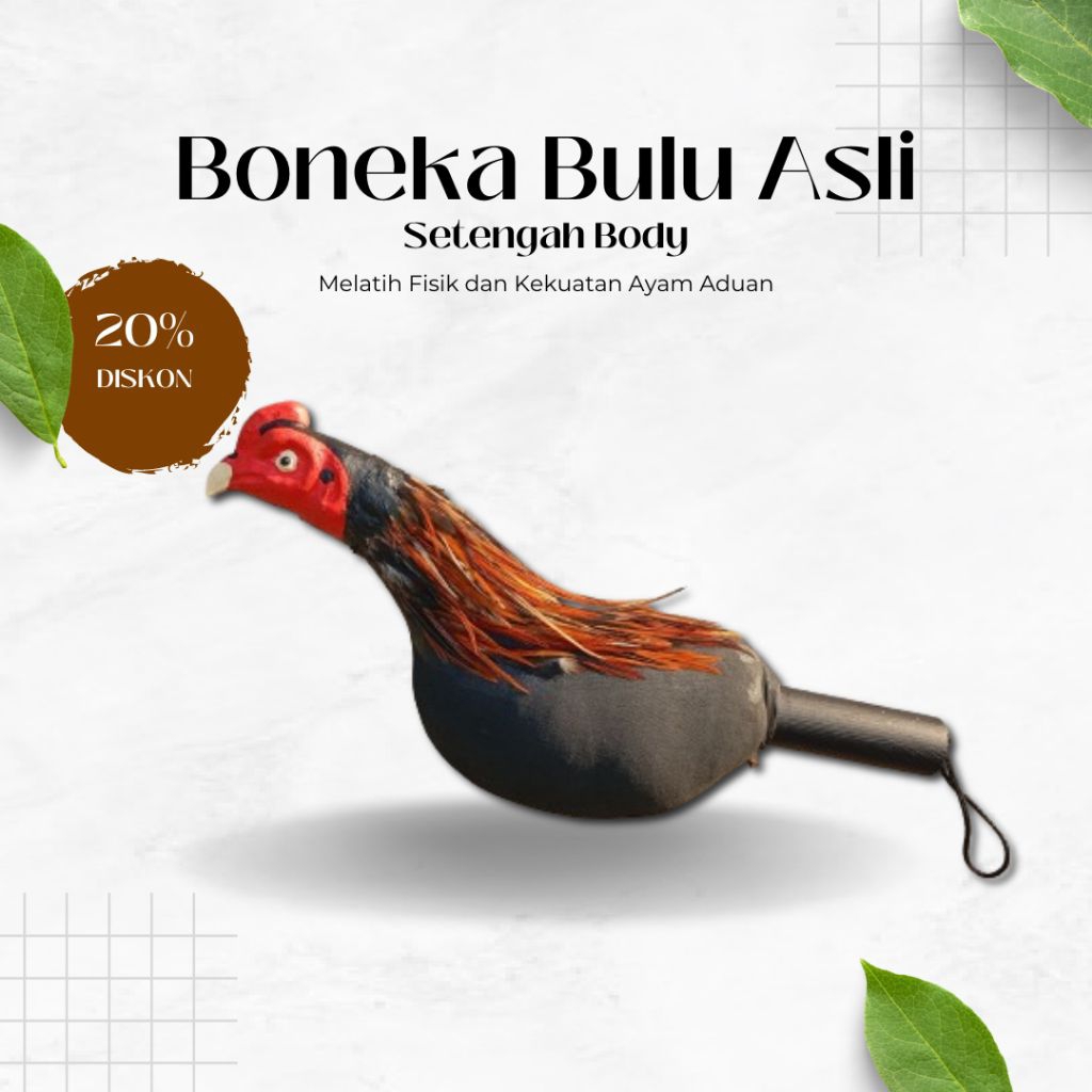 Boneka Ayam Aduan kepala ayam untuk melatih fisik ayam Jantan Bangkok melatih Abar