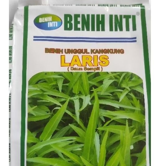 

benih kangkung isi 100 biji
