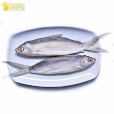 Ikan Bandeng Cabut Duri Ikan Bandeng Tanpa Duri Ikan Bandeng Cabut Tulang Siap Masak