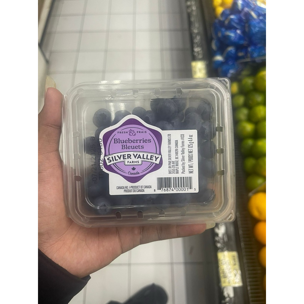 

Blueberry Kanada Silver Valley |Buah Premium Super Fresh 170g