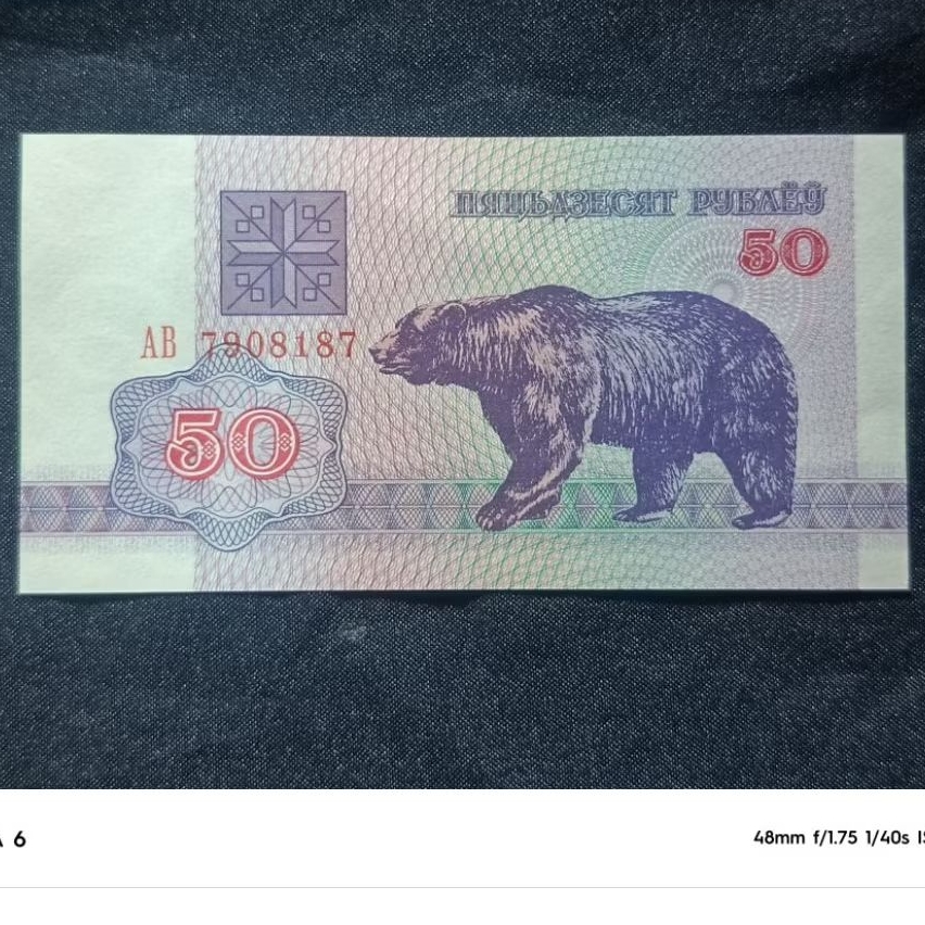 SA312 50 RUBEL BELARUSIA LAMA GRESS