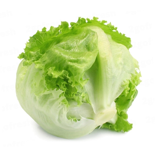 

Lettuce/Selada/Lectus/Selada Lettuce/Lettuce Head Fresh/Selada Lectus Segar/1 Kg