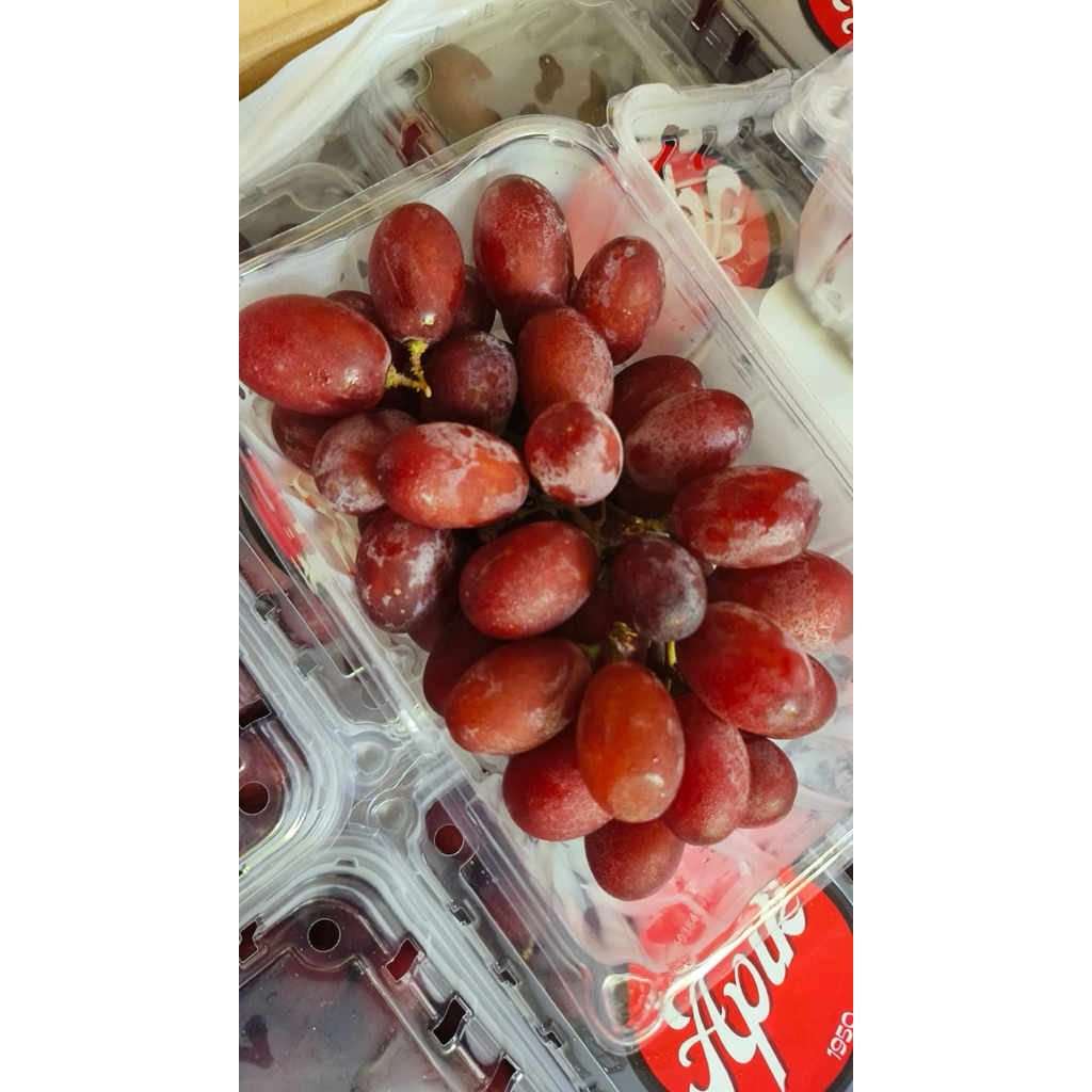 

Anggur Shine Muscat Red / Merah 1 Dus (Isi : 10 Pack) Fresh Import