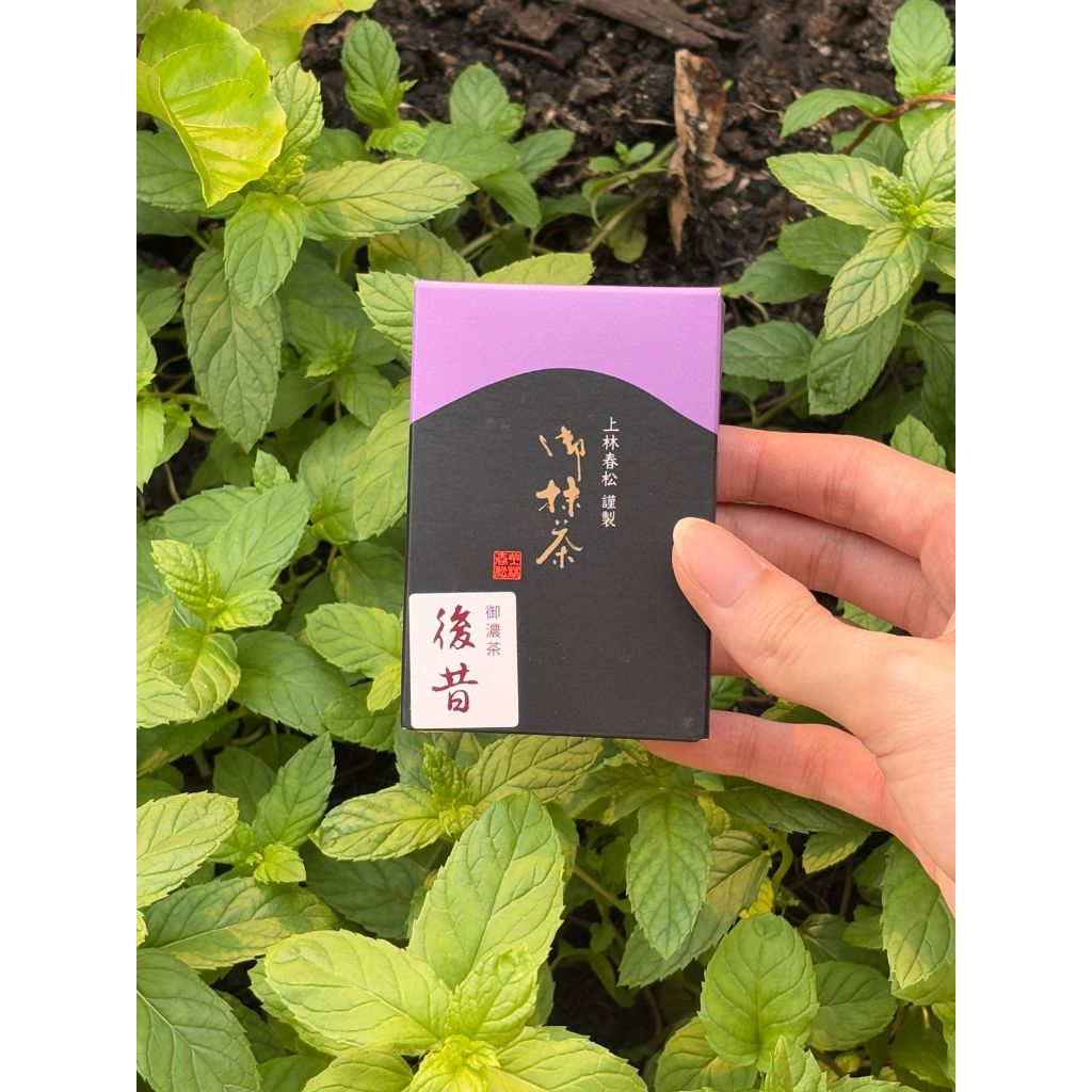 

KANBAYASHI SHUNSHO matcha - Koicha Atomukashi 20gr