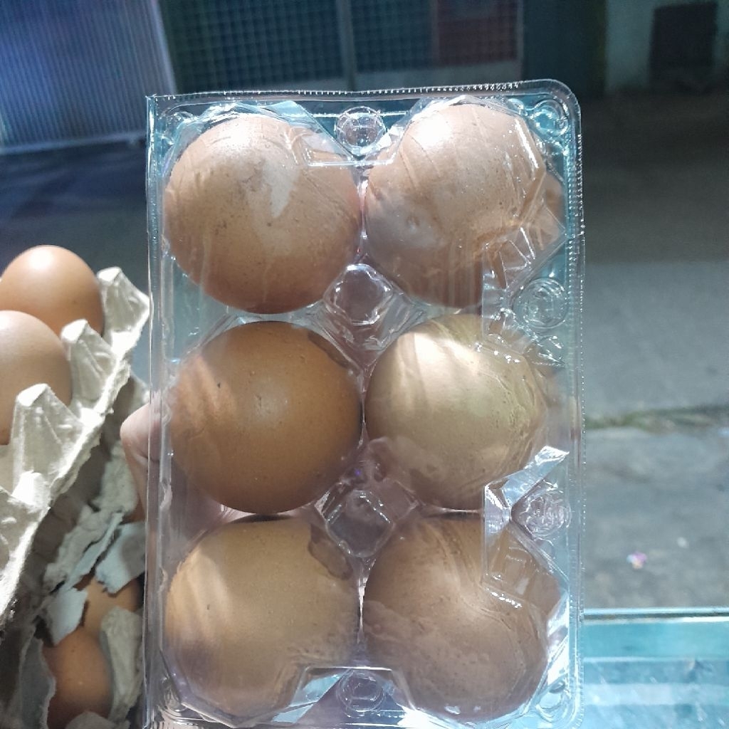 

telur ayam lokal isi 6 butir