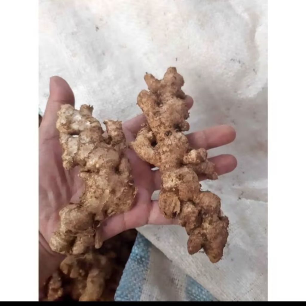 

jahe emprit super 250g