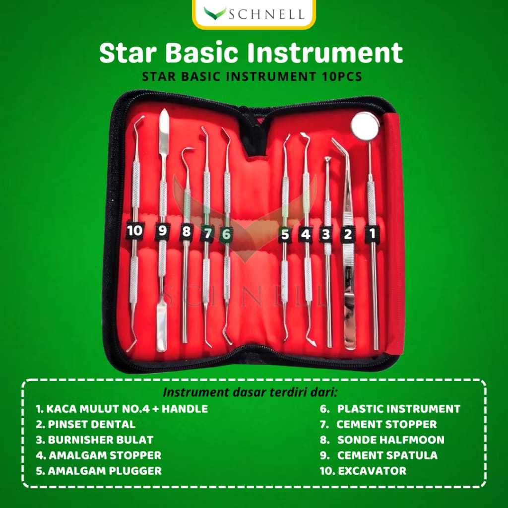 STAR Diagnostic Set Instrument Dental 10 pcs (Basic Instrumen Dasar)/Dental Instrumen Mahasiswa FKG/