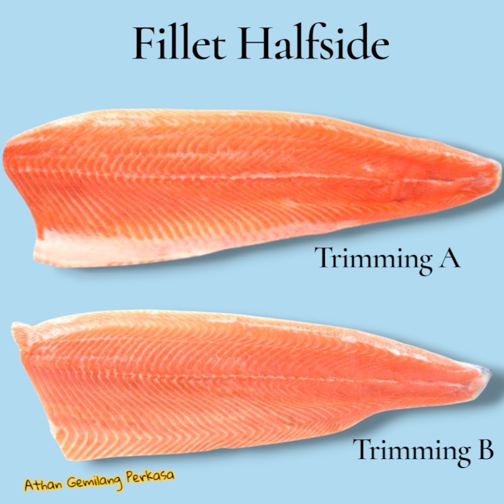 

Salmon Fillet Halfside (Lembaran) - Salmon Norway Premium
