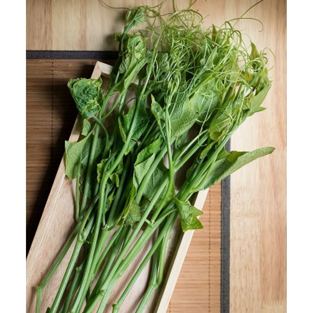 

pucuk labu Siam per ikat isi 300gr dan 500 gr