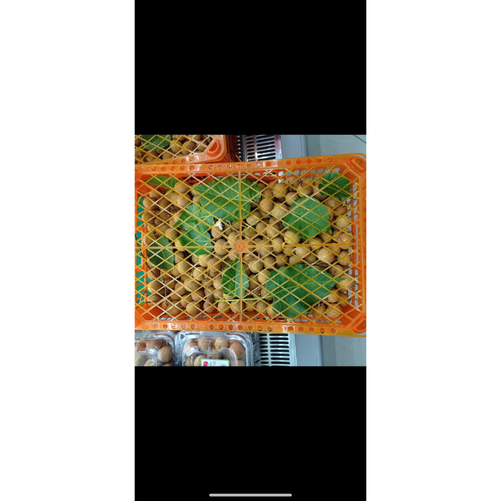 

longan box fresh - Buah kelengkeng manis fresh keranjang 5 kg