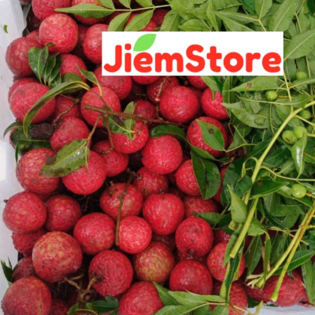 

Lychee Merah Leci Manis Fresh Fruit Buah Segar