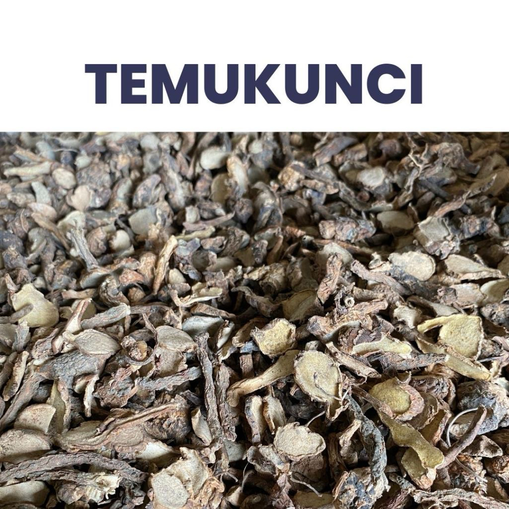 

Temu Kunci Kering dan Bubuk 100 Gram - Herbal Tradisional untuk Masakan dan Jamu Anak