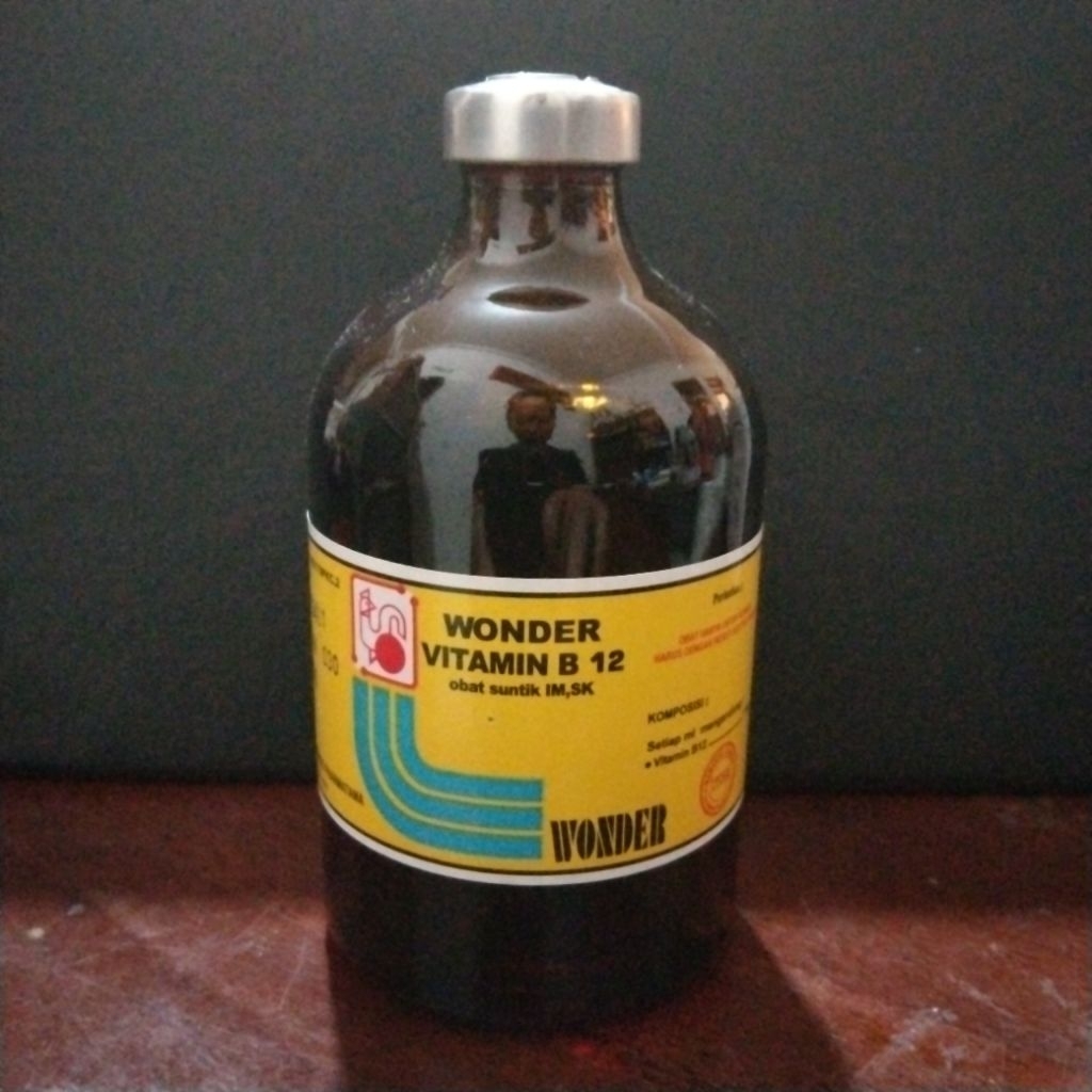 vitamin b12 wonder 100ml 1 botol