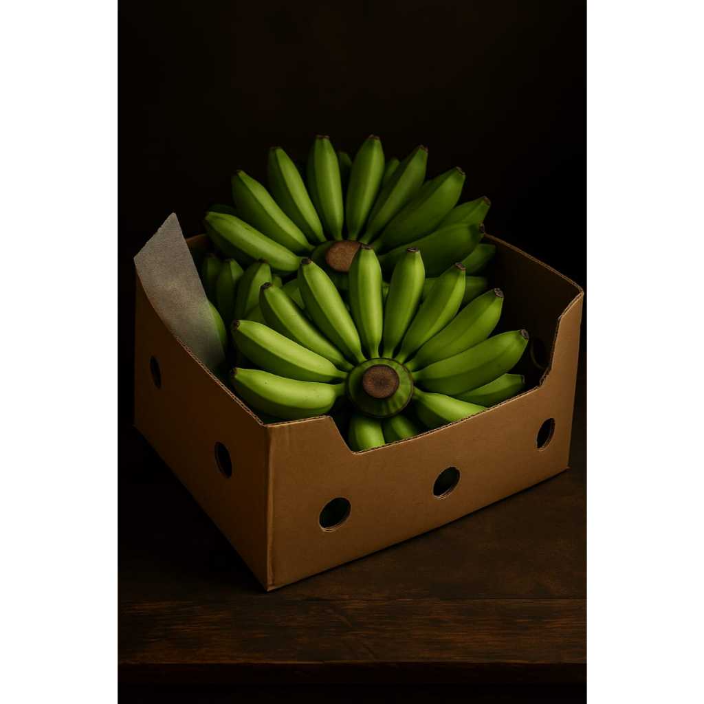 

Forcysn Juragan Banana88/Pisang Mas/Harga