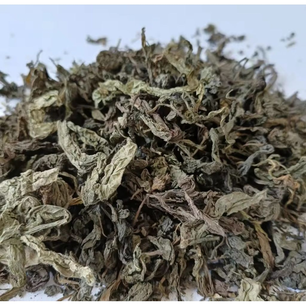 

Daun Tempuyung Kering 500 Gram