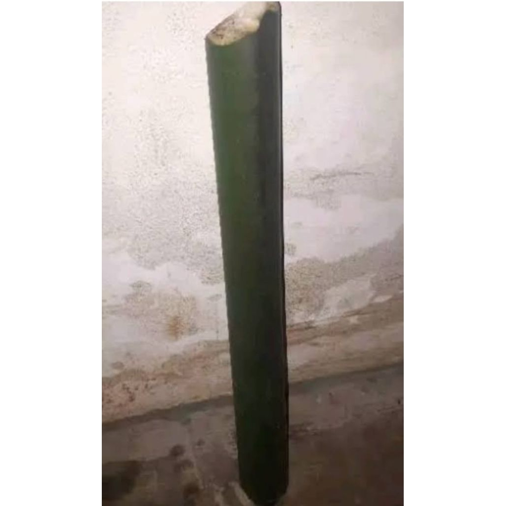 

Batang pohon aren segar sudah di kupas 1kg