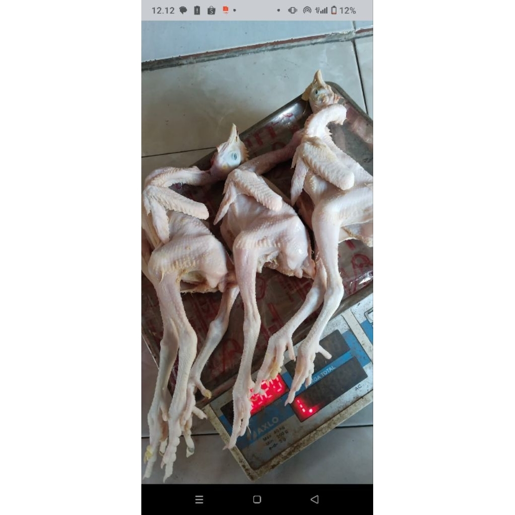 

ayam kampung paketan