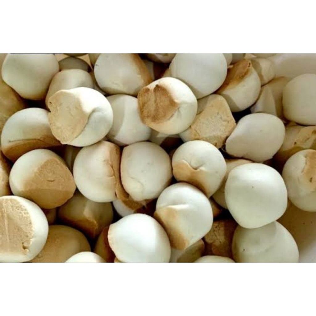 

NOPIA GULA JAWA - JAJANAN JADUL - SNACK JADUL - OLEH-OLEH WONOGIRI