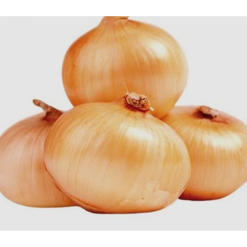 

Bawang Bombay Segar /Fresh