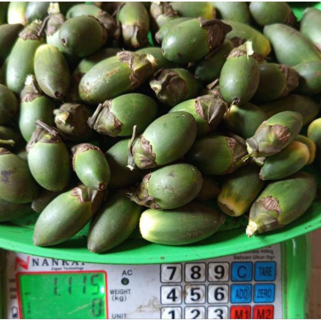 

Buah pinang segar fress per 1kg beerkhasiat bervitamin