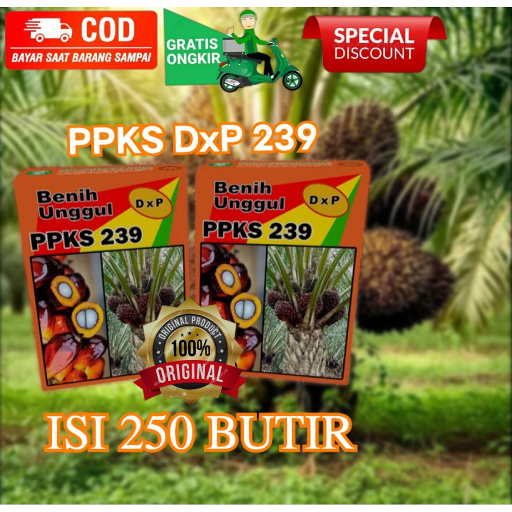benih bibit kelapa sawit dxp PPKS 239 unggul isi 250 butir ber sertifikat