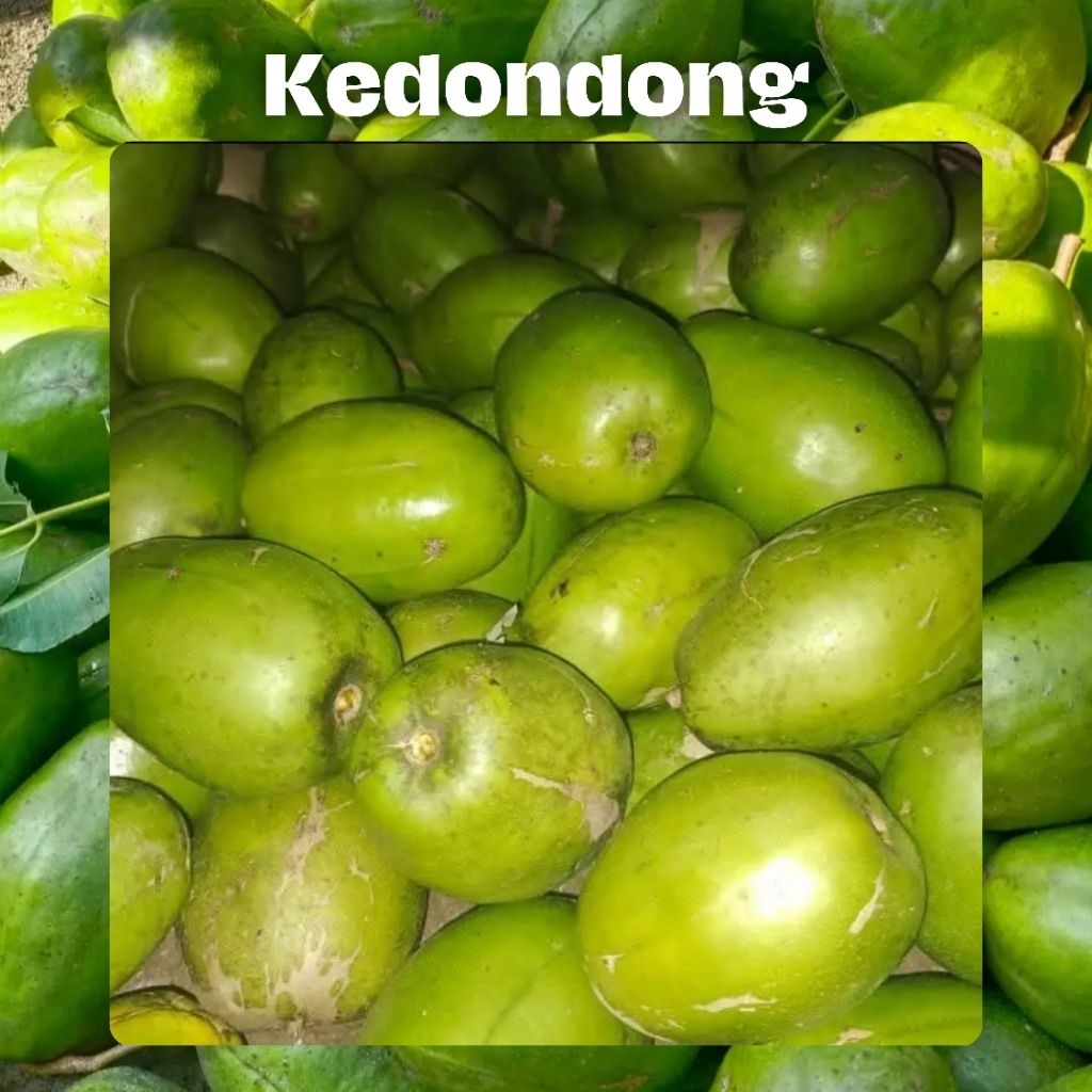 

Buah kedondong jumbo 1kg isi 4 packing pakai keranjang