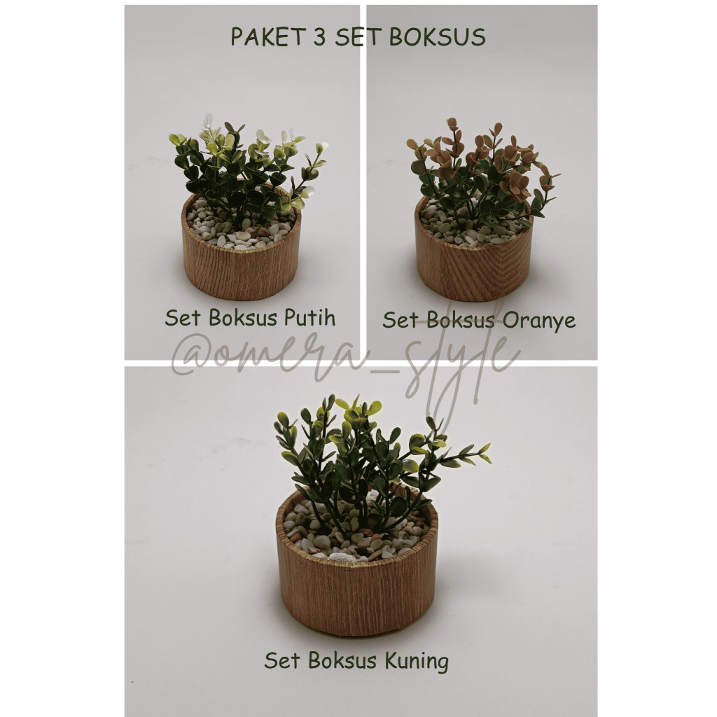 PAKET 3 Set Pot Tanaman Daun Tanaman Boksus Ludwigia Asparagus Sirih Putih Anggur Bayam Artificial P