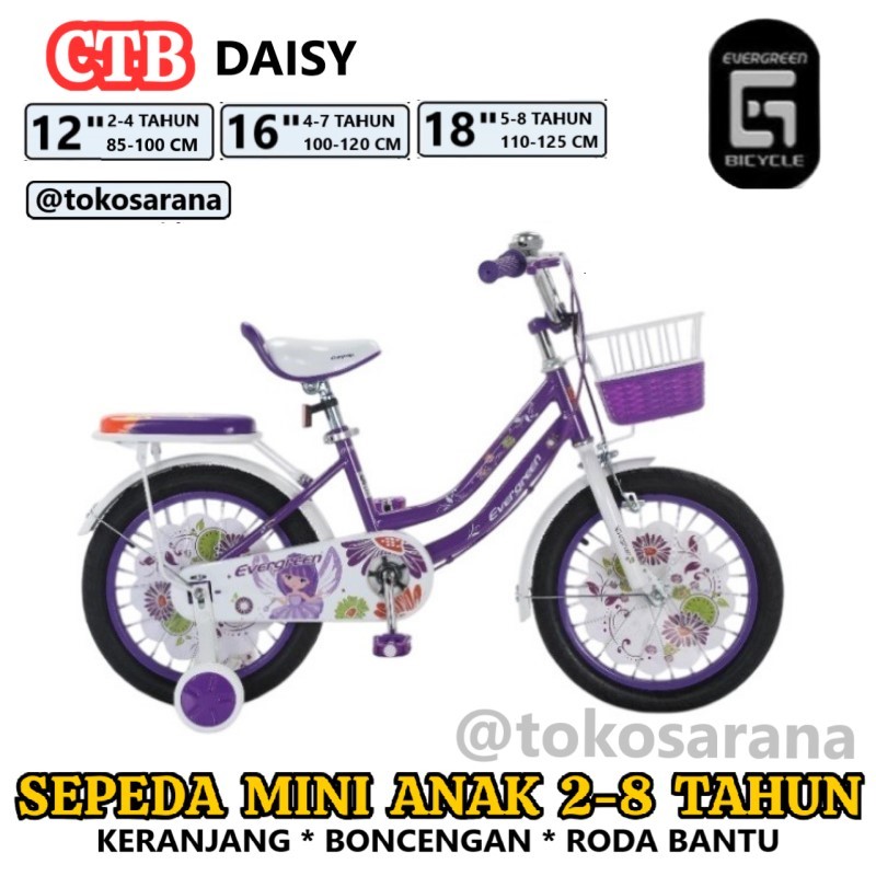 Sepeda Kota Evergreen Daisy Mini CTB Anak 2-8 Tahun 12 16 18 Inci Rangka Steel Keranjang Roda Bantu