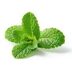 

Daun Mint PerOns per 100 gram | JBP_Fresh