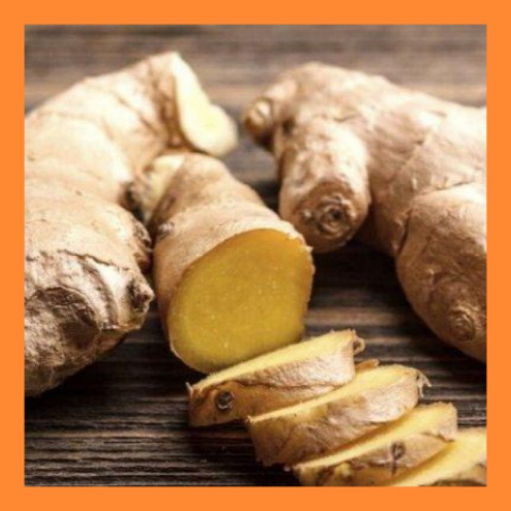 

jahe putih jahe gajah fresh 1kg bumbu masak jamu dan terapi