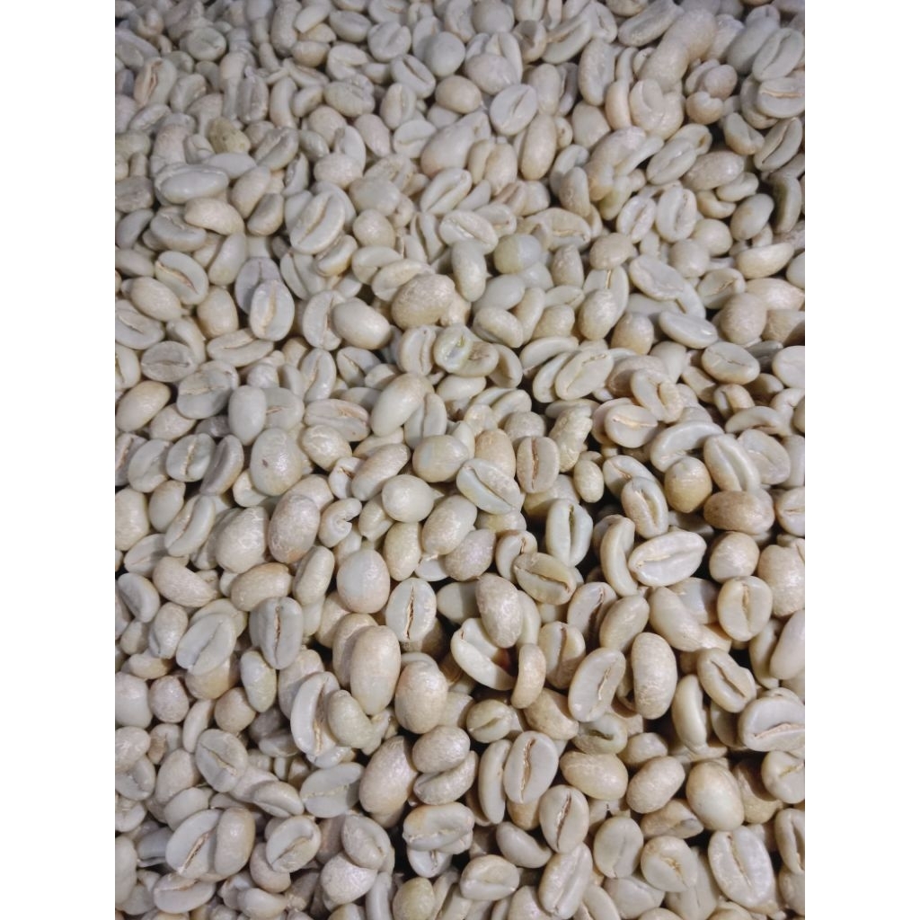 

Geren Beans natural gunung puntang.