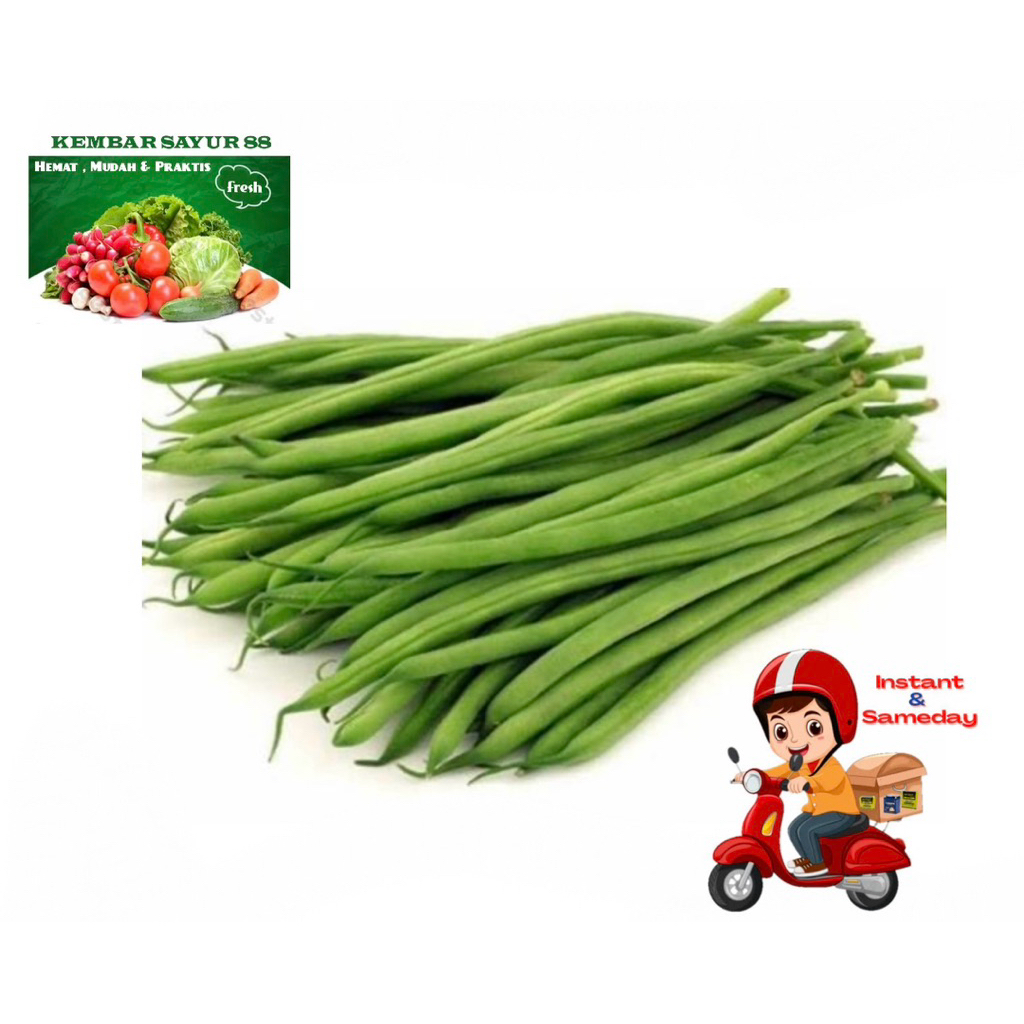 

Buncis - Kembarsayur88