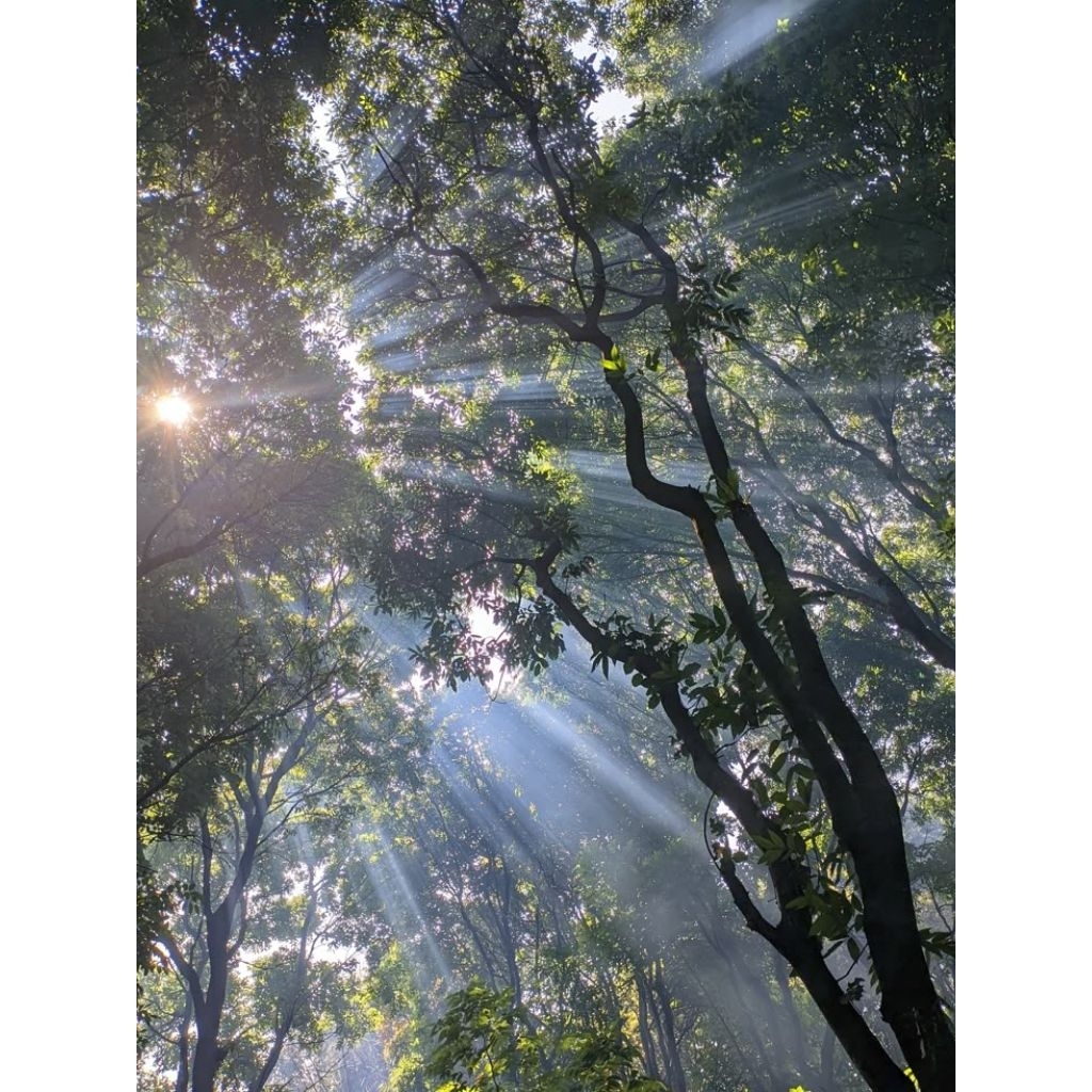 

Sedekah air minum ke masjid