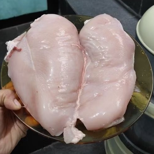 

FilletDadaAyamFreshdanFrozenKualitasTerbaikHargaBersaing