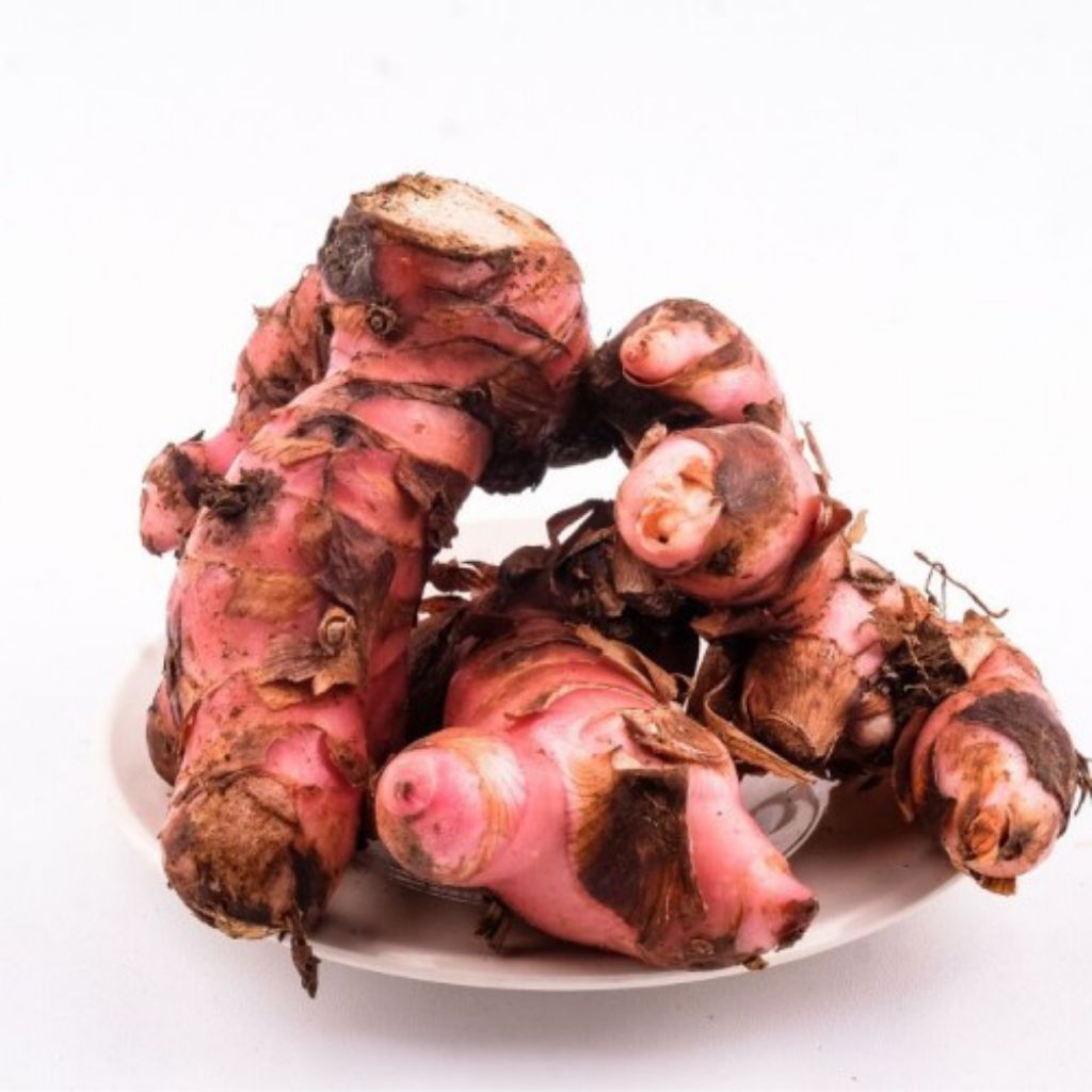 

hemat lengkuas merah 1kg Laos merah obat herbal