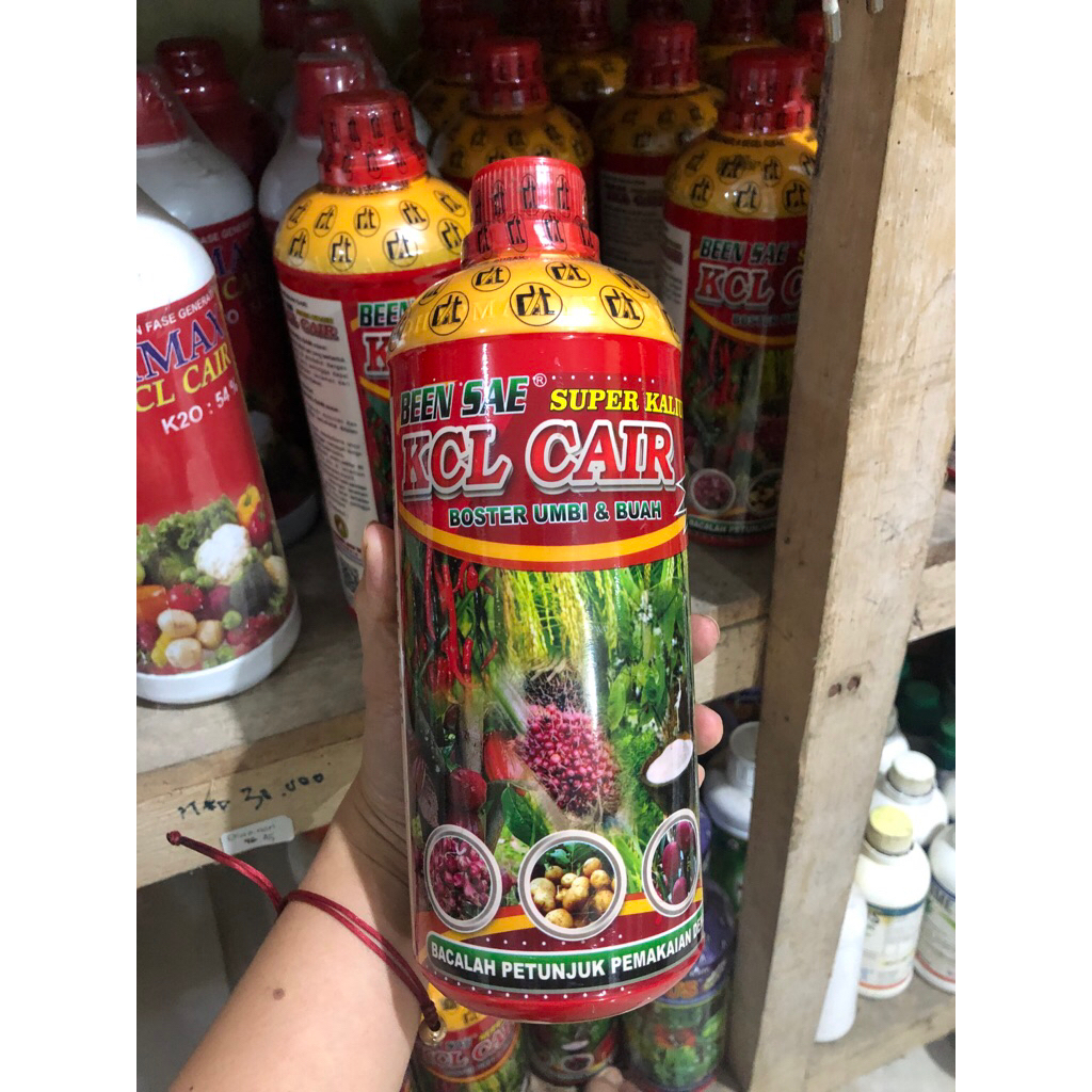 kcl cair Been sae 1L