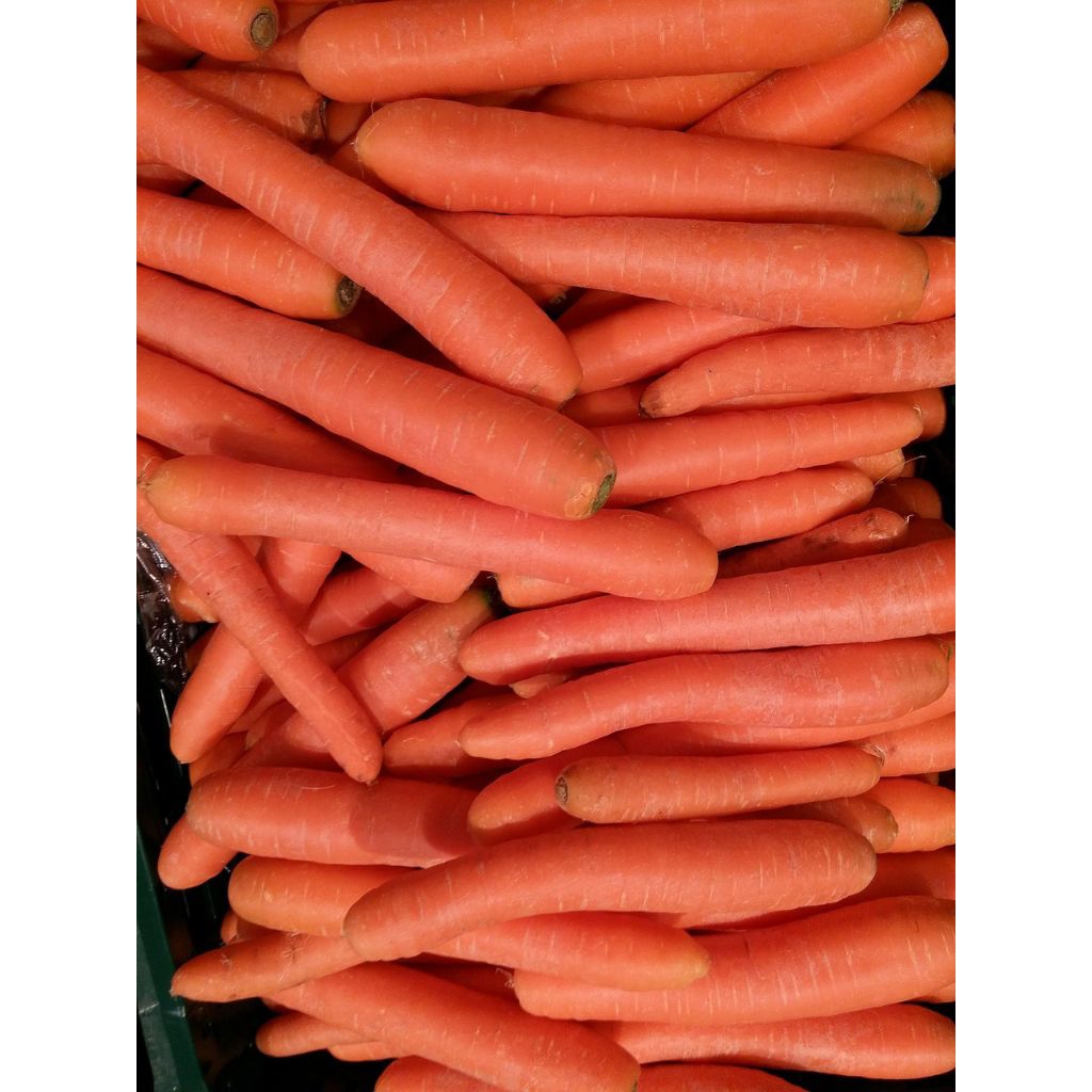 

Wortol segar langsung dari kebun petani