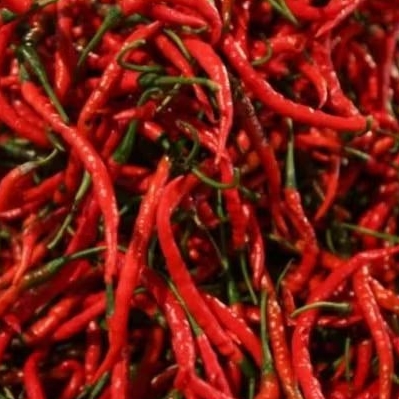 

cabai keriting merah 500gr